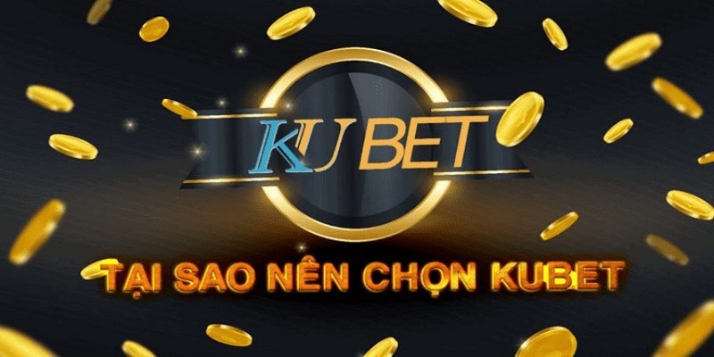 Lý do Ku11 link được cập nhật thường xuyên